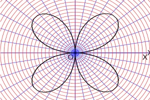 area of one petal of the rose